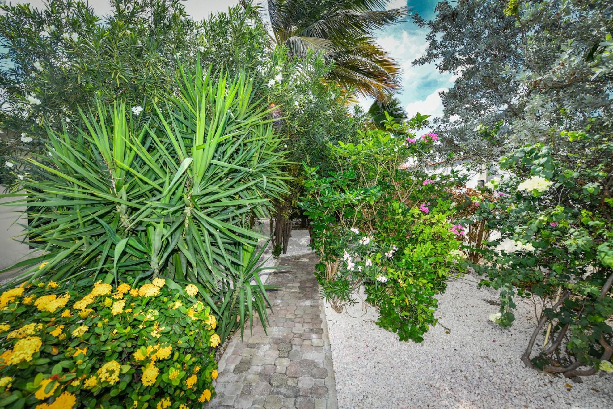 Aloe B&B Oranjestad Exterior photo