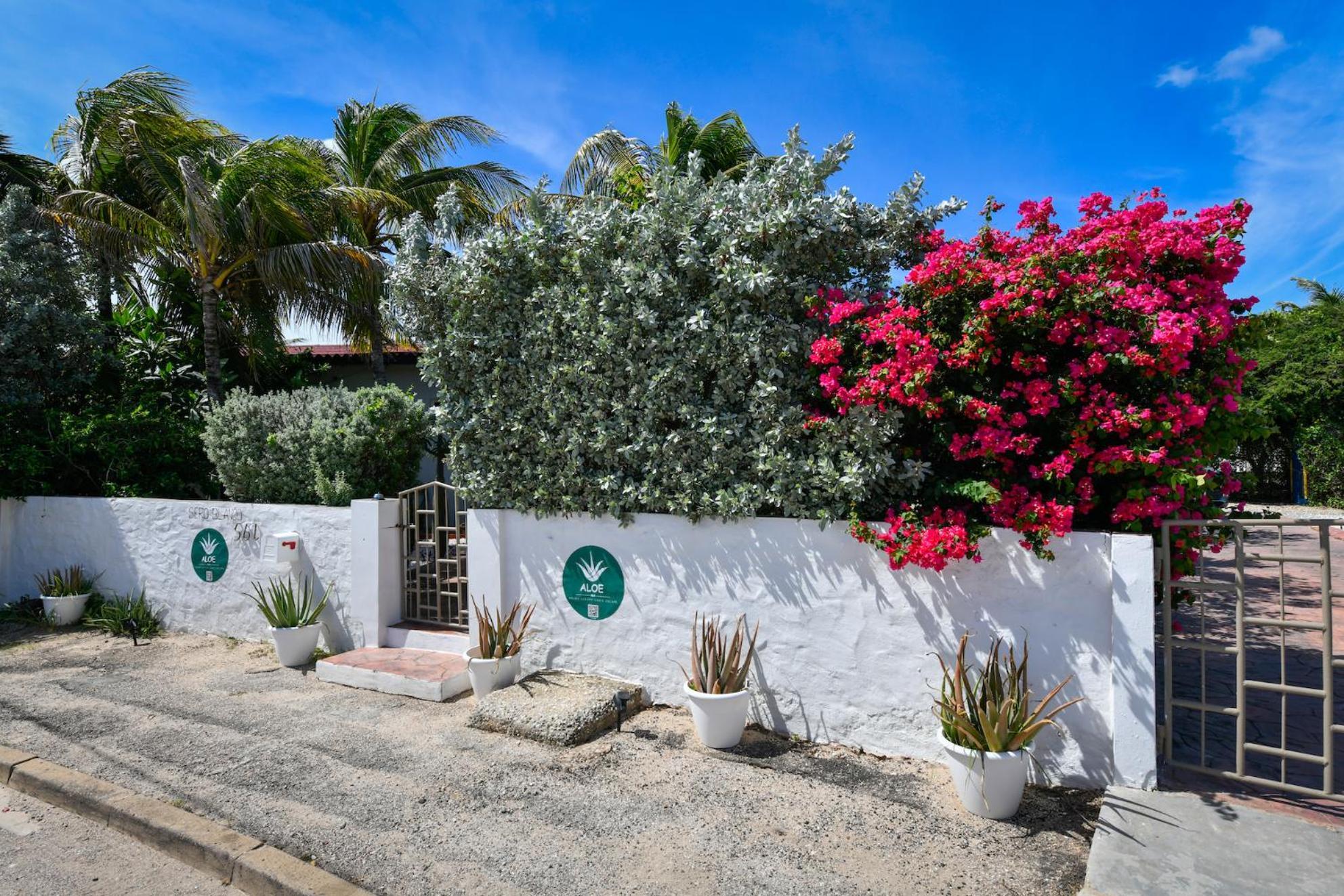 Aloe B&B Oranjestad Exterior photo